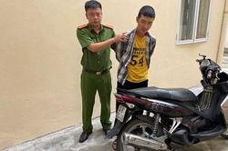 Mới ra tù lại tiếp tục cướp giật và trộm cắp tài sản