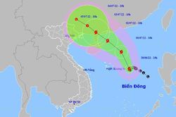 Kêu gọi 93 tàu thuyền khẩn trương vào bờ để tránh bão số 1