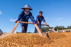 Đắk Lắk kết nối giao thương, mở đường tiêu thụ nông sản