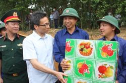 Phó Thủ tướng Vũ Đức Đam thăm lực lượng tìm kiếm hài cốt liệt sĩ tại chiến khu Ba Lòng