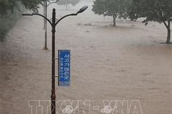 Mưa to gây nhiều thiệt hại ở Hàn Quốc