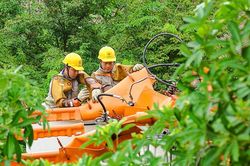 Đà Nẵng: Đảm bảo an toàn hệ thống điện quốc gia trước nguy cơ cháy rừng cao