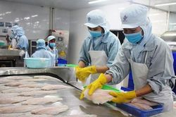 Thị trường Bắc Âu: Ưa chuộng hàng Việt