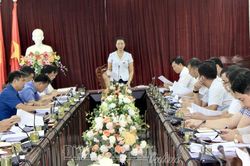 Thẩm tra báo cáo, dự thảo nghị quyết trình kỳ họp thứ 8, HĐND tỉnh khóa XV