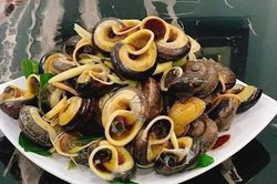 Loại ốc chỉ có trên núi đá vào chính vụ giá cao vẫn khan hiếm hàng