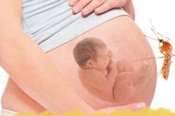 Cảnh báo nhiều mẹ bầu tại TP.HCM mắc sốt xuất huyết