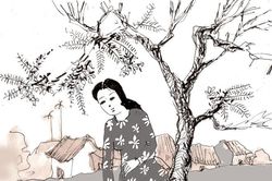 Gốc phượng đầu làng