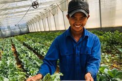 Phát triển nông nghiệp hữu cơ - ghi nhận bước đầu