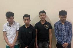 Nghệ An: Xác định 5 đối tượng phá ruộng dưa hấu của lão nông
