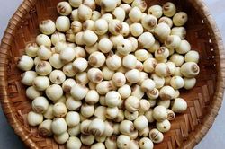 Nhộn nhịp mua bán hạt sen tươi đầu mùa