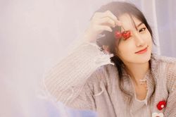 Viên Băng Nghiên bị một nhà đài cấm sóng, chính thức bị tẩy chay