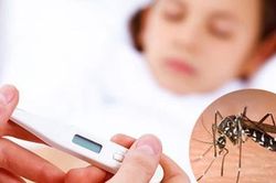 Dấu hiệu mắc sốt xuất huyết cần đến viện ngay