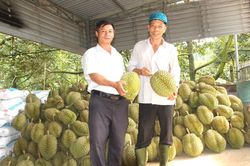 Hà Lâm: Tập trung xây dựng nông thôn mới kiểu mẫu