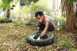 Ninh Bình xuất hiện 3 ổ dịch sốt xuất huyết