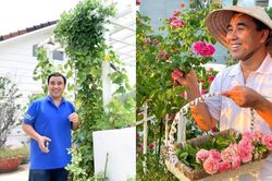 Khu vườn xanh mướt mắt trong biệt thự của MC Quyền Linh