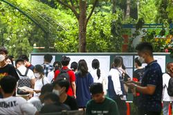Hình ảnh thí sinh đi làm thủ tục dự Kỳ thi tốt nghiệp THPT năm 2022