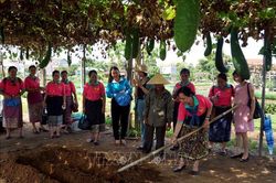 Hội Liên hiệp Phụ nụ nữ Lào thăm hữu nghị tỉnh Quảng Nam