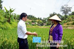 Lợi ích kép từ sản xuất lúa theo quy trình VietGAPTin khácGóp phần đẩy mạnh thanh toán không dùng tiền mặtLan tỏa phong trào cán bộ, công chức, viên chức thi đua thực hiện văn hóa công sở