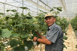 Ông 'Chủ nhiệm' làm nông nghiệp 4.0