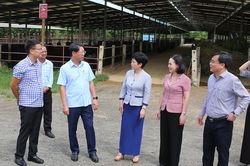 Đoàn giám sát chuyên đề của Quốc hội làm việc tại Ninh Bình