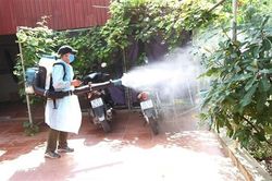 Bình Thuận: Phân tuyến điều trị, không để gia tăng các trường hợp sốt xuất huyết nặng