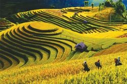 Yên Bái: Doanh thu từ hoạt động du lịch đạt 524,3 tỷ đồng