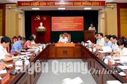 Tiếp tục thực hiện toàn diện nhiệm vụ kiểm tra, giám sát năm 2022