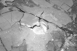 NASA tung ảnh chụp 'dải thịt xông khói' trên sao Hỏa: Nghi có sự sống?