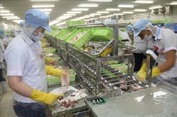 Ngân sách thu hồi trên 16.000 tỷ đồng nợ đọng thuế