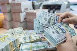 Một tuần dậy sóng của tỷ giá USD/VNĐ