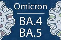 EMA cảnh báo làn sóng dịch Covid-19 mới