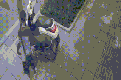 Camera ghi cảnh nam thanh niên trộm túi xách