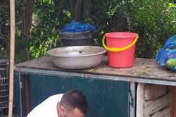 'Trang trại' của vợ chồng người Pháp