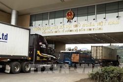 Sầu riêng được xuất khẩu chính ngạch sang Trung Quốc