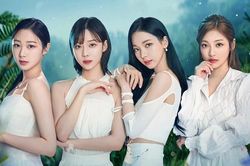 Fan đi hỏi tại sao aespa lại bị ghét như vậy