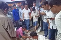 Bắt rắn hổ mang chúa, người đàn ông ở Đồng Nai bị cắn tử vong
