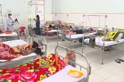 Kiên Giang: Nguy cơ cao bùng phát dịch sốt xuất huyết ở Phú Quốc
