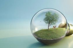 Thái Lan phát hiện hai người phụ nữ Ấn Độ xuất cảnh cùng 109 cá thể động vật hoang dã