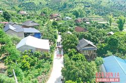 'Đường tình nghĩa' - Ấm tình quân dân