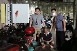 Ly kỳ chuyện muỗi 'báo thù' khiến tên trộm sa lưới