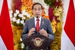 Tổng thống Indonesia tiết lộ 'vũ khí' đảm bảo khả năng tự cung tự cấp gạo