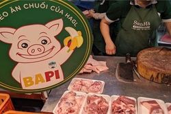 Hoàng Anh Gia Lai tiếp tục báo lãi lớn