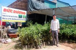 Đam Rông: Những hiệu quả từ thay đổi tư duy trong sản xuất