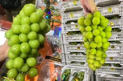 Ngã ngửa sự thật đằng sau nho sữa bán đầy chợ giá chỉ từ 99.000 đồng/kg