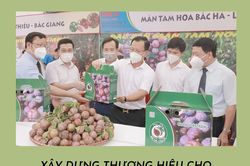 Xây dựng thương hiệu nông sản Lào Cai