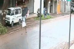 Cây xanh bật gốc, đè trúng người đàn ông và cái kết khó tin