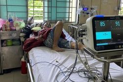 60% bệnh nhân mắc sốt xuất huyết cần nhập viện, TP.HCM lên kịch bản thu dung điều trị