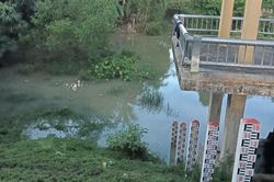 Hai chị em đuối nước thương tâm ở hồ điều hòa gần nhà