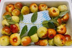 Hồng táo Trung Quốc đổ chợ, 550 nghìn/kg vẫn siêu đắt khách