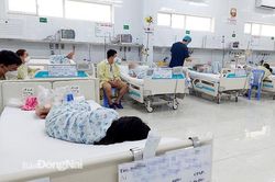 Ghi nhận hơn 1,3 ngàn ca sốt xuất huyết trong tuần